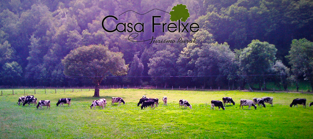Apartamentos rurales Oscos